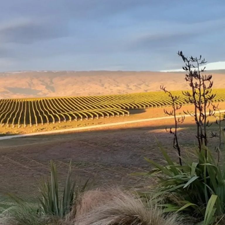 Mount-Dunstan Homepage Hero Mobile-min